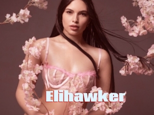 Elihawker