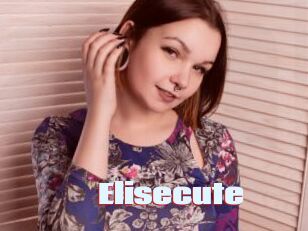 Elisecute