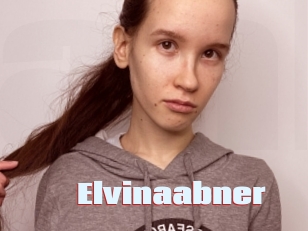 Elvinaabner