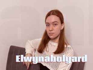 Elwynabolyard