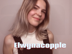 Elwynacopple