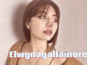 Elwynagallamore