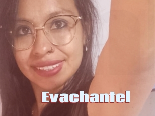 evachantel Anal Open