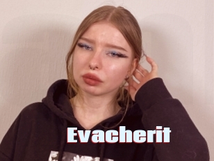 Evacherit