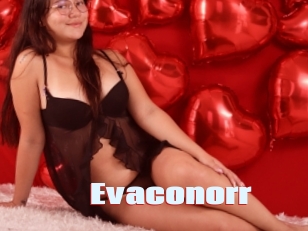 Evaconorr