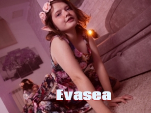 Evasea