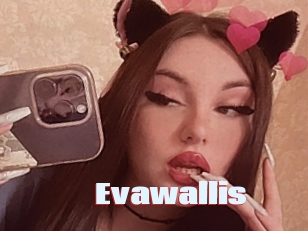 Evawallis