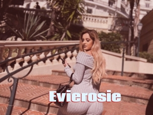 Evierosie