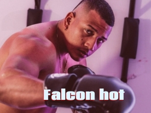 Falcon_hot