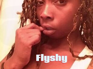 Flyshy