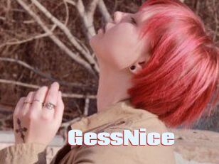 GessNice Anal Open