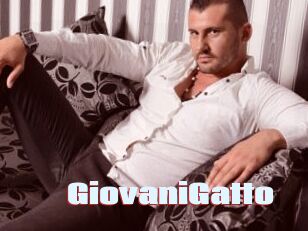 GiovaniGatto