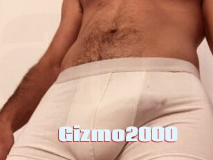 Gizmo2000