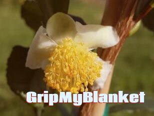 GripMyBlanket