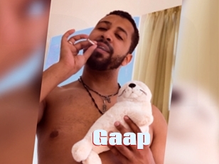 Gaap