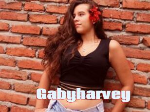 Gabyharvey