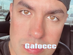 Gatoccc