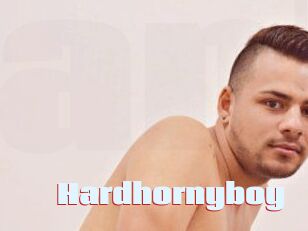 Hardhornyboy