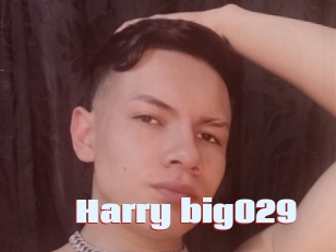 Harry_big029