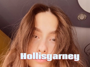Hollisgarney
