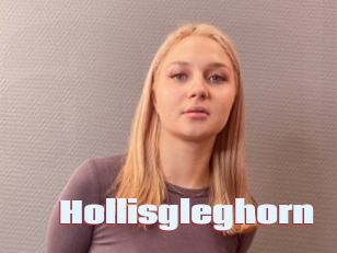 Hollisgleghorn