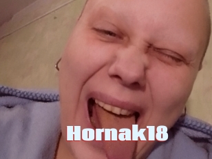 Hornak18