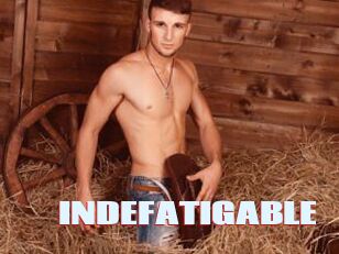 INDEFATIGABLE