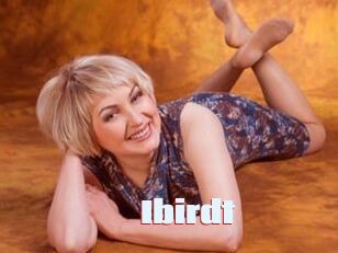 Ibirdt
