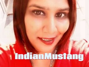 IndianMustang