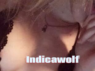 Indicawolf