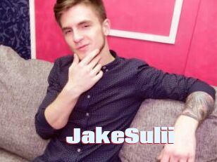 JakeSulii
