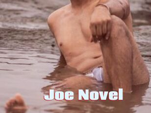 Joe_Novel