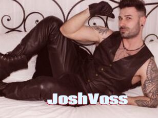 JoshVoss