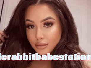 Jaderabbitbabestation