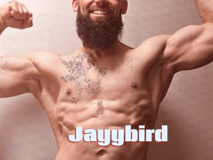 Jayybird