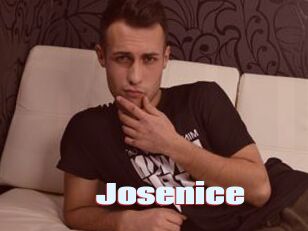 Josenice