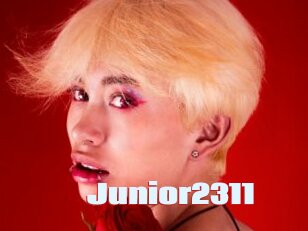 Junior2311