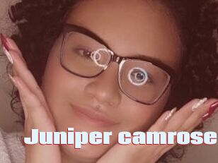 Juniper_camrose