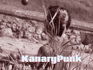 KanaryPunk