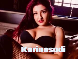 Karinasodi Anal Open