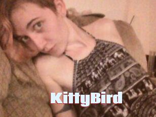 KittyBird