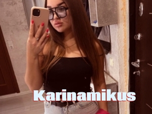 Karinamikus