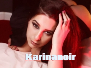 Karinanoir