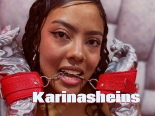 Karinasheins