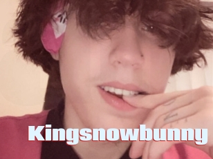 Kingsnowbunny