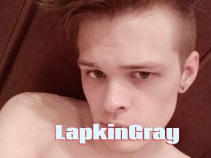 LapkinGray