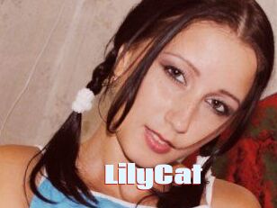 Lily_Cat_