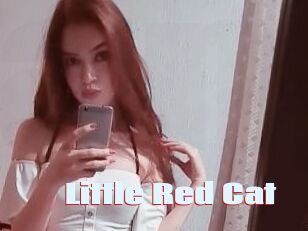 Little_Red_Cat