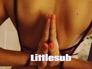 Littlesub
