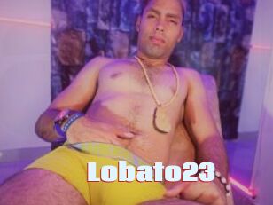 Lobato23